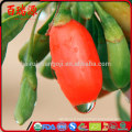 Wolfberry santé avantages goji berry capsulas goji berry produits